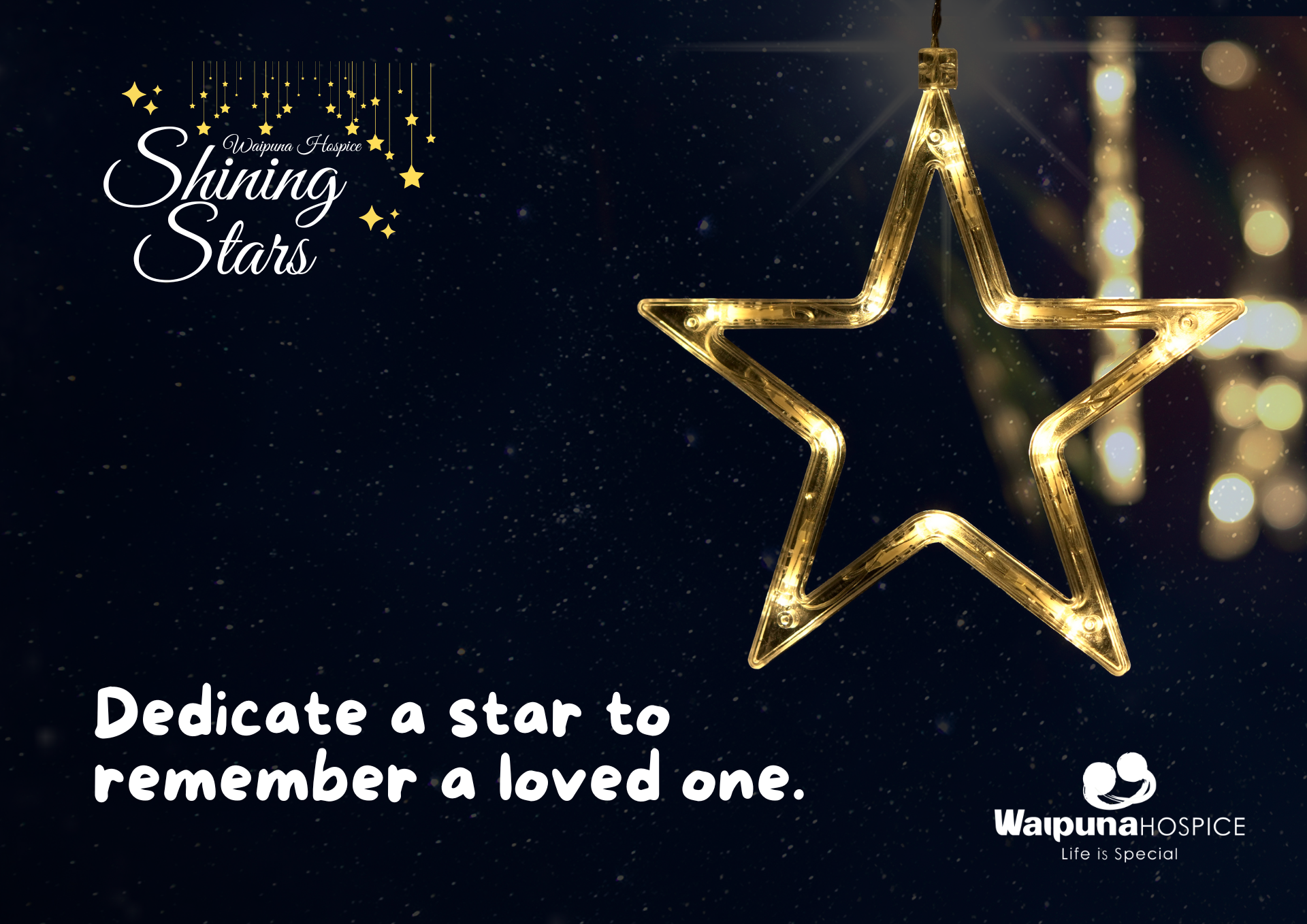 Donate and dedicate a Shining Star to remember your loved one.