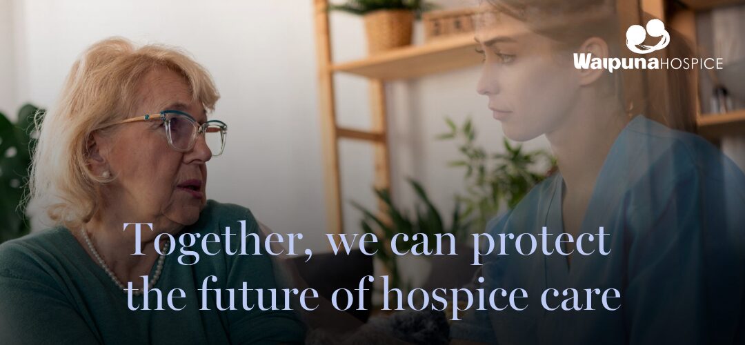 Hospice patient with nurse who appears to be fading away to signify that hospice services are at risk of disappearing.